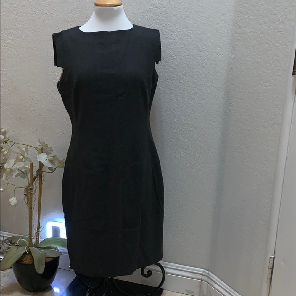 Beautiful Gently Loved Lined Dress by Ted Baker